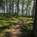 Poukama Paeijaetsalo 木屋 Sysmä