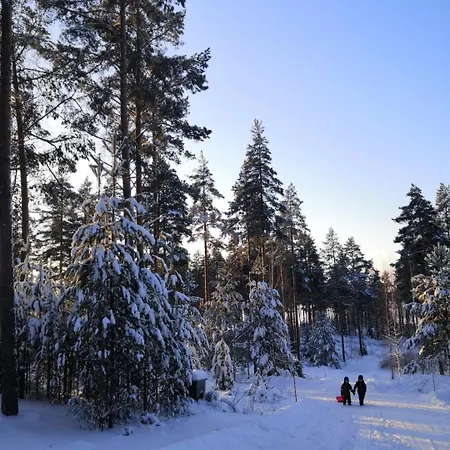 Poukama Paeijaetsalo Chalet *