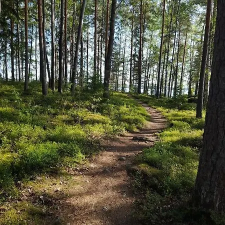 Poukama Paeijaetsalo Шале Сюсмя