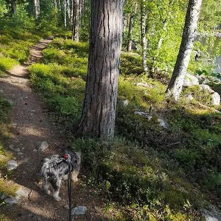 Poukama Paeijaetsalo Sysmä