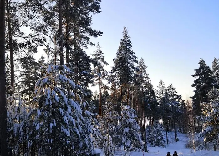 Poukama Paeijaetsalo 木屋 *