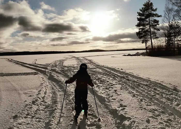 Poukama Paeijaetsalo 木屋