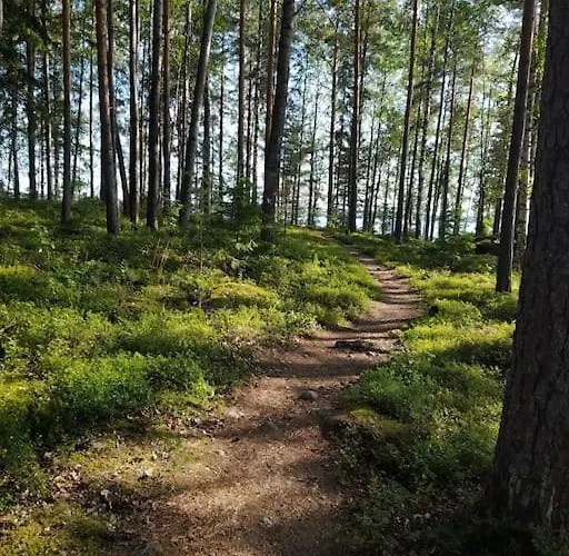 Poukama Paeijaetsalo 木屋 Sysmä