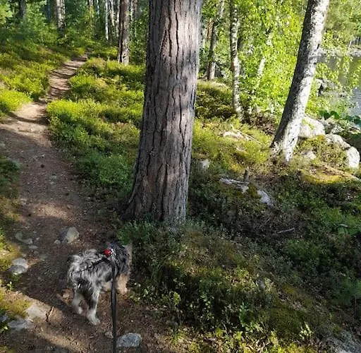Poukama Paeijaetsalo Sysmä